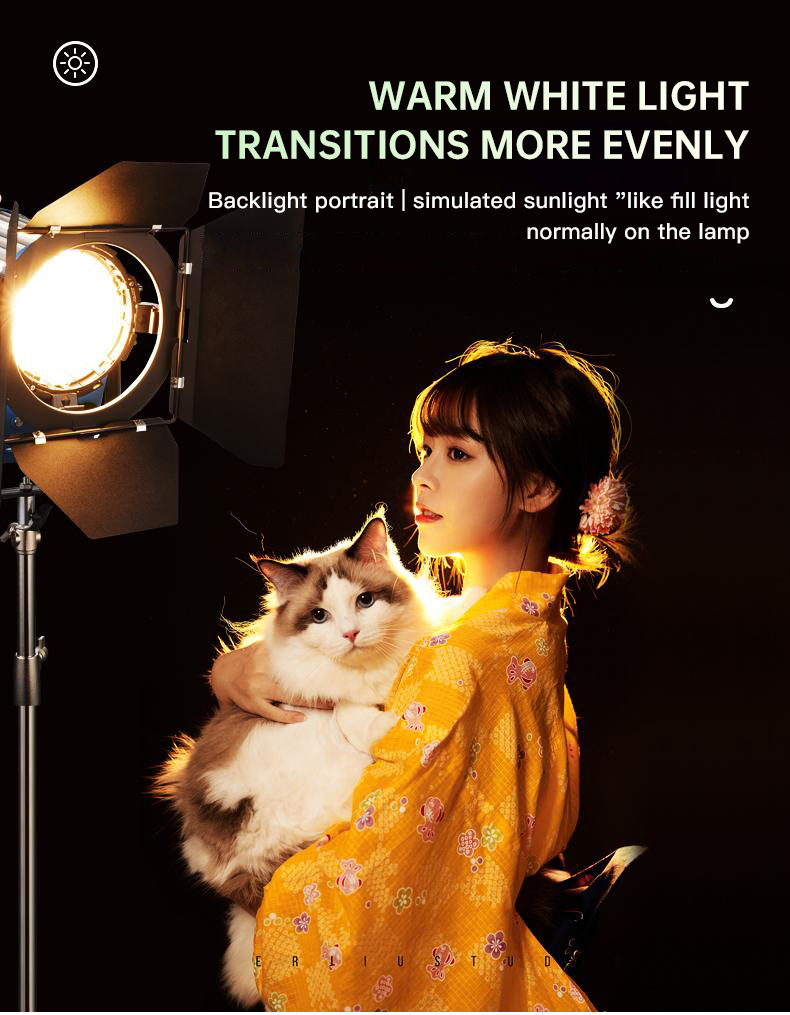 Beiyang 2000 Вт прожектор для  – обзор и цена Photography Lighting For Indoor